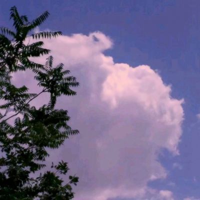 新星钢铁银河游戏下载